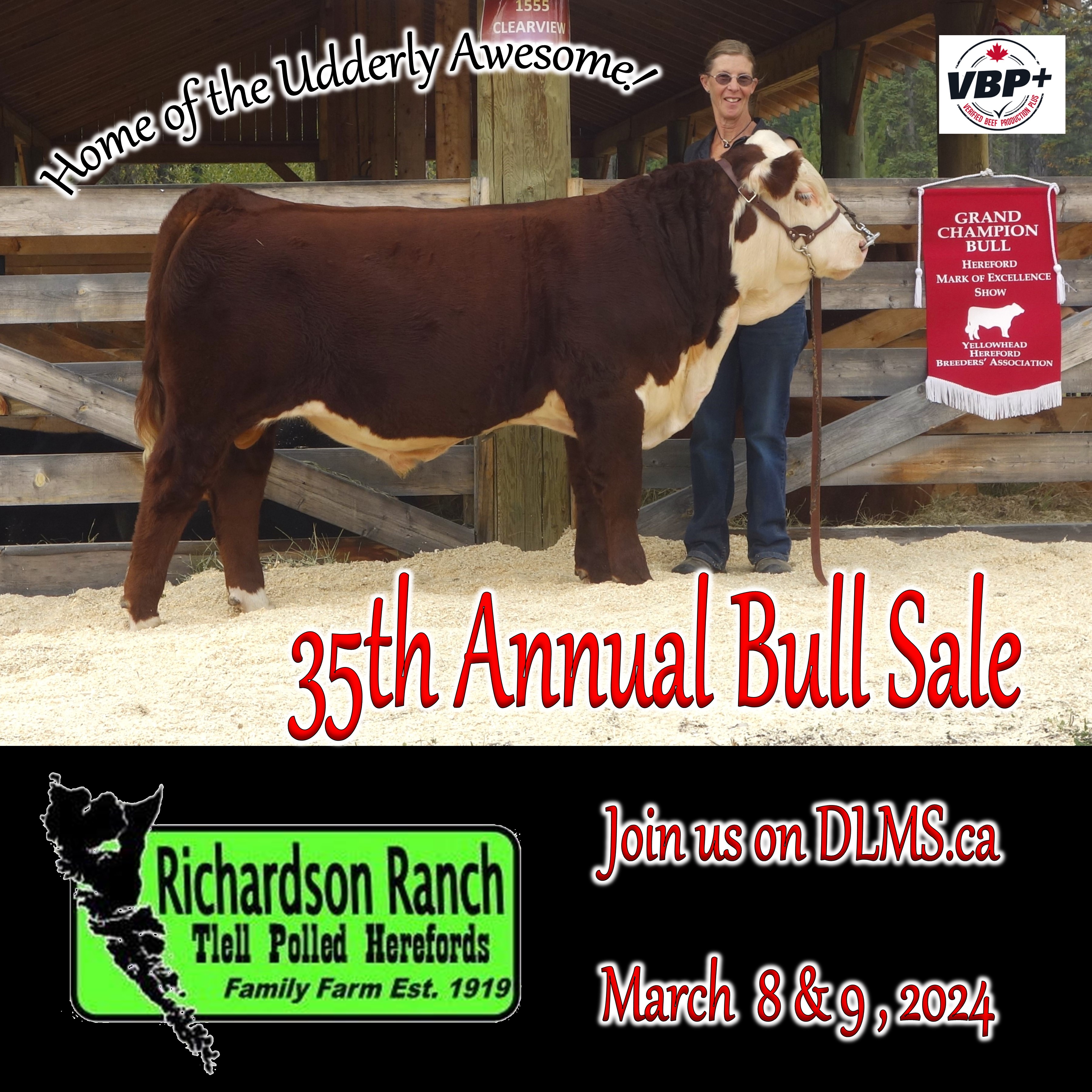 3rd Bull Sale Online CHA Icon