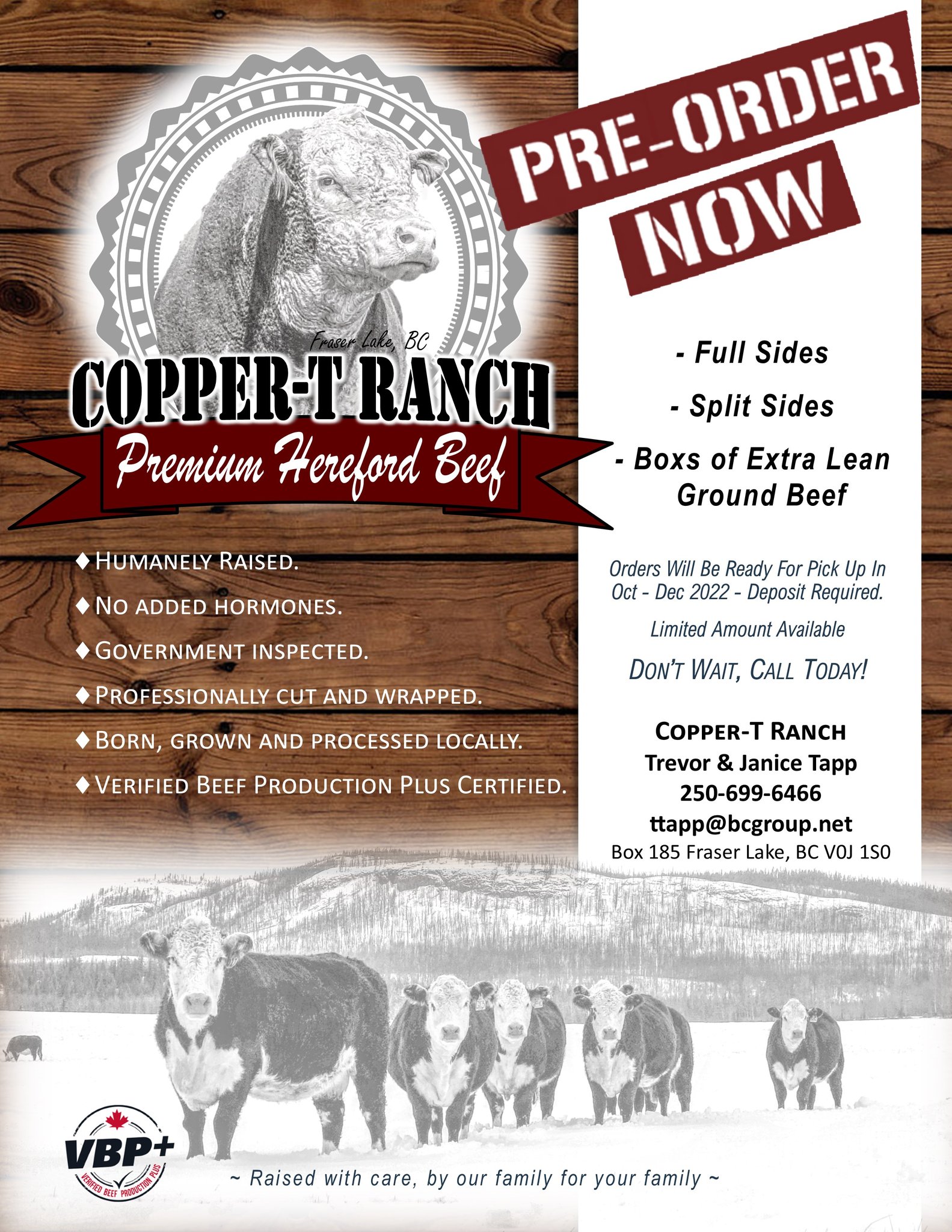 CopperTmeat sales