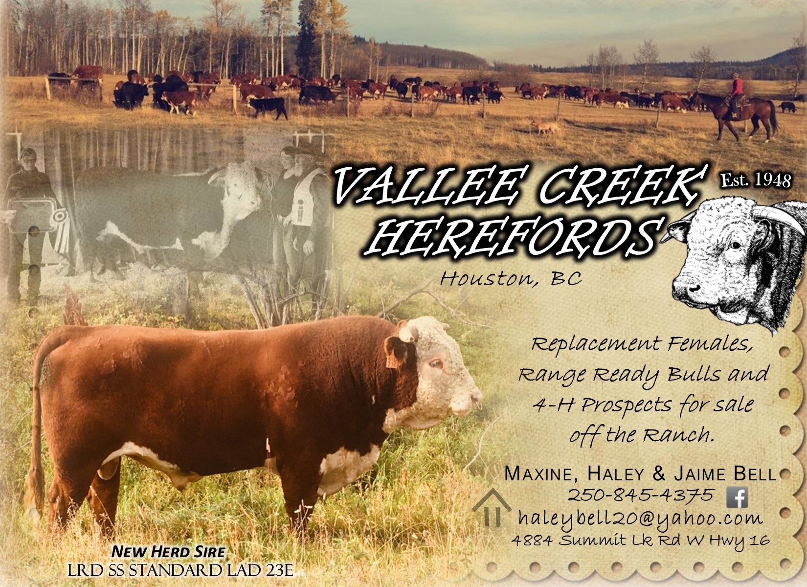 Vallee Creek 2021 Directory HP